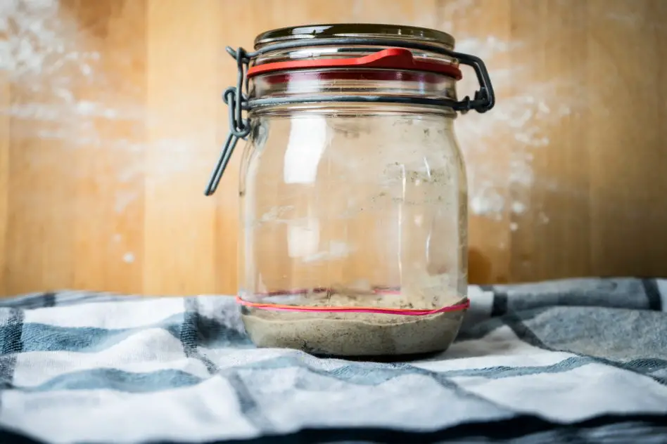 How To Create A Sourdough Starter First Day