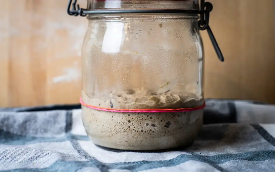 How To Create A Sourdough Starter Second Day After 9 Hours