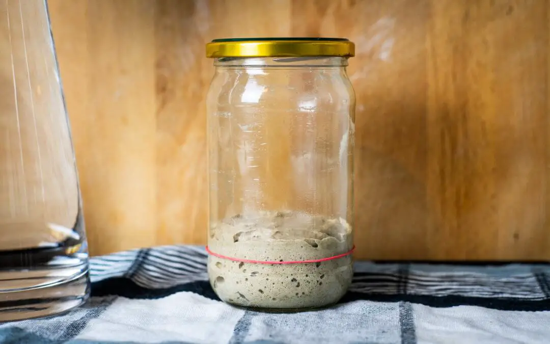 How To Maintain A Sourdough Starter | Delight Baking