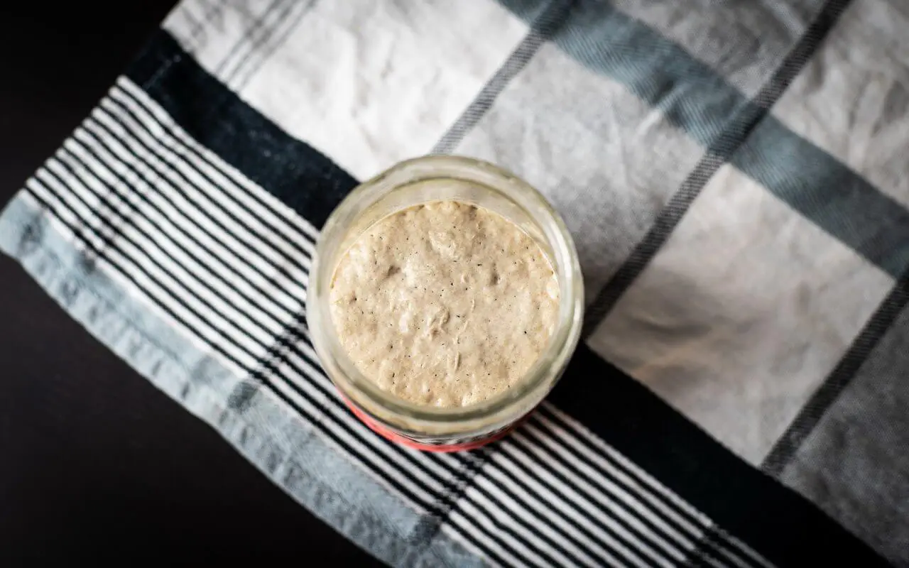 Sourdough Starter Smell: Key Health Indicators for Your Starter (1) Sourdough Starter Smell: Key Health Indicators for Your Starter (1)