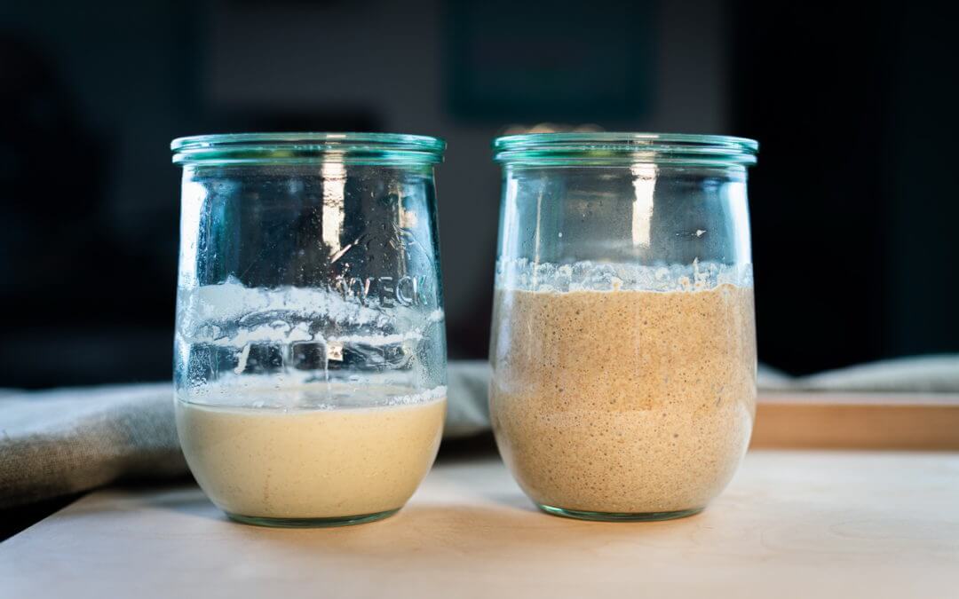 french-country-bread-delight-baking