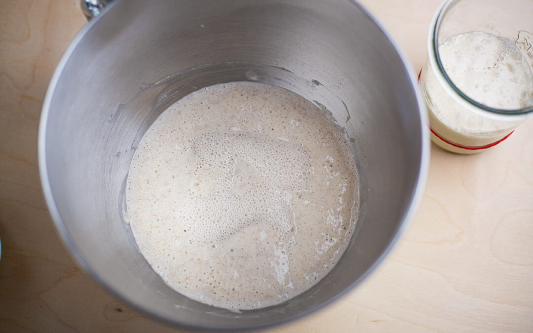 The Big Fluffy Round Sourdough Bread Delight Baking