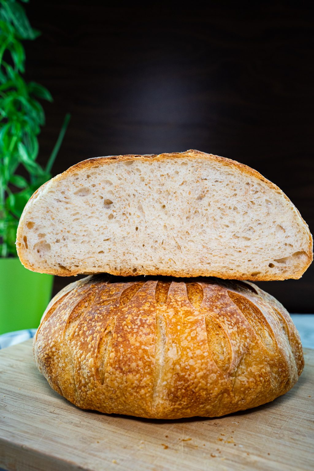 Sourdough Bread With Olive Oil Delight Baking