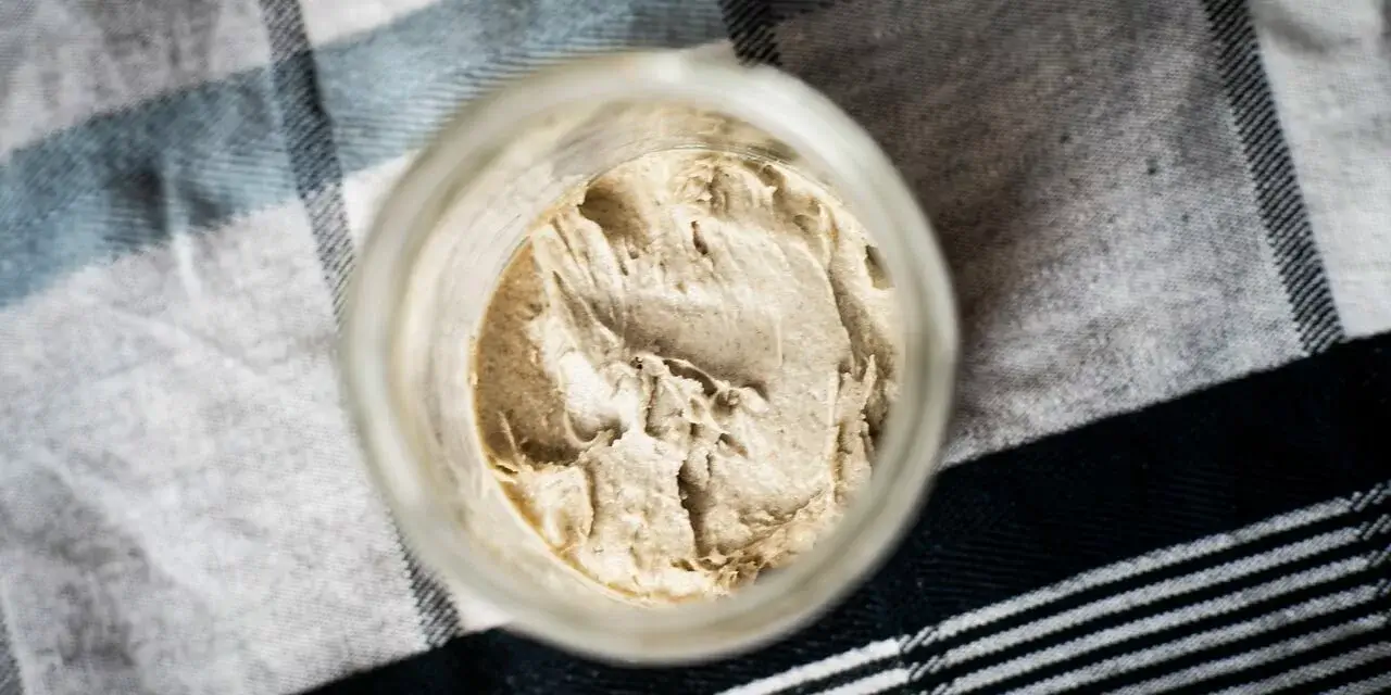 Sourdough Starter Problems: How to Identify and Fix Them